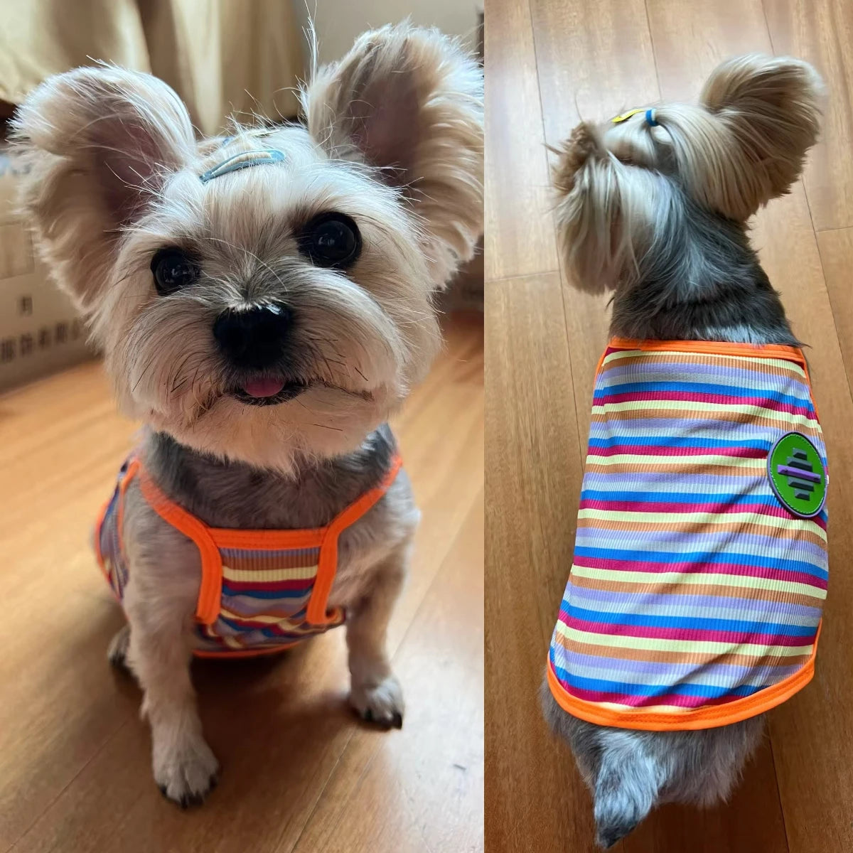 Striped Cooling Vest & Summer Shirt for Small & Medium Dogs & Cats