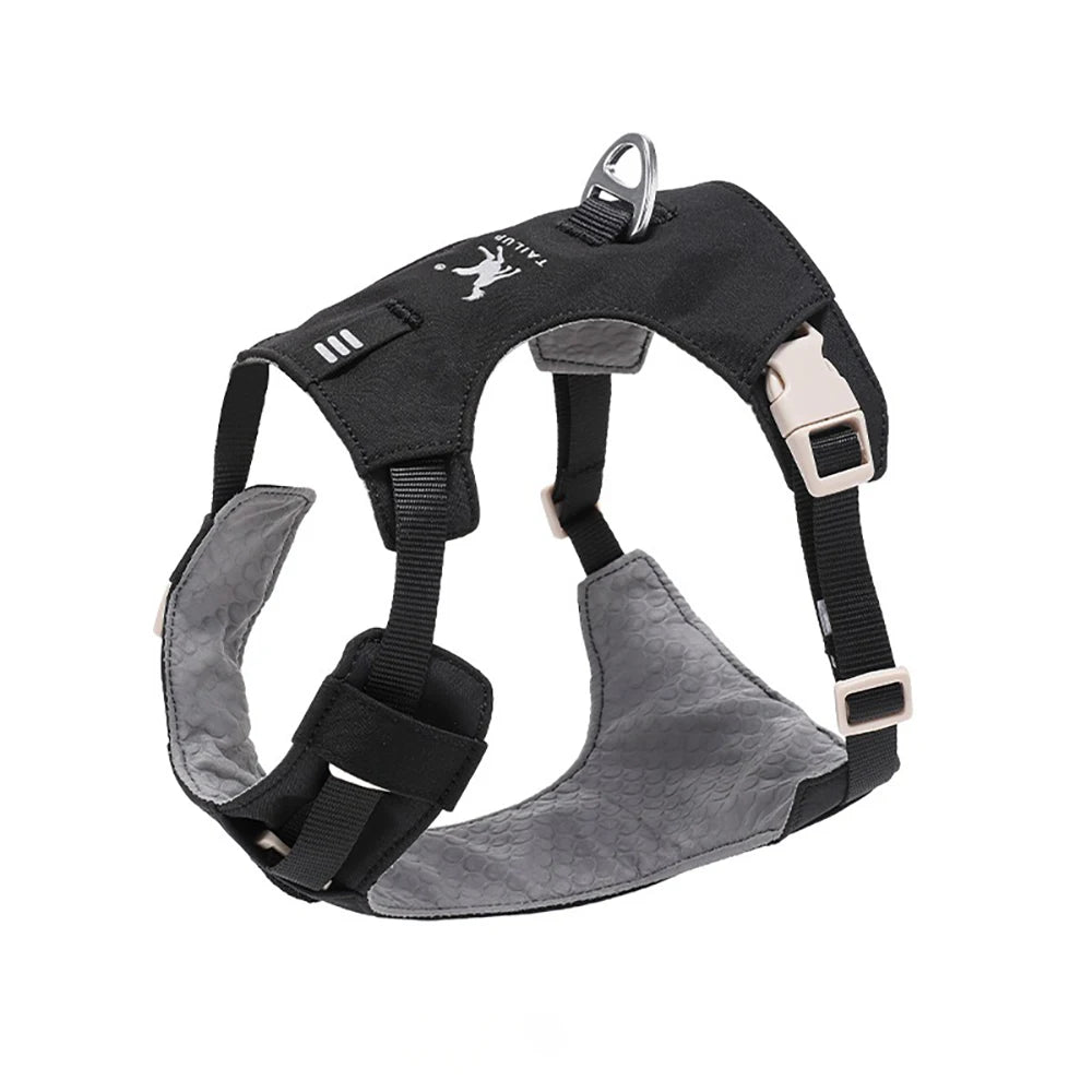 Lightweight Dog Harness & Leash Set Anti-Pull Escape-Proof Pet Walking Lead for Small Medium Large Dogs