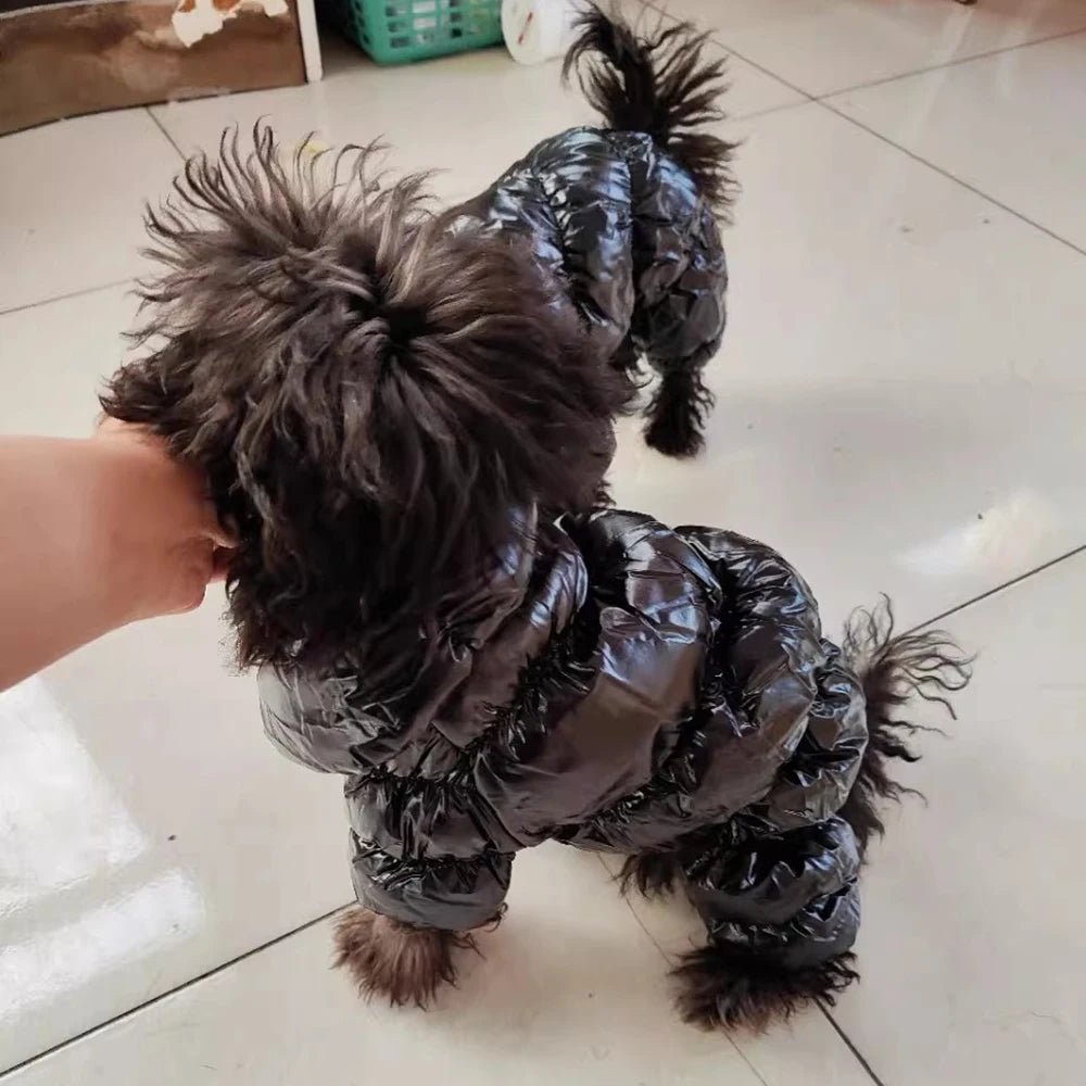 Winter Down Jumpsuit for Small Dogs | Padded All-in-One Dog Coat