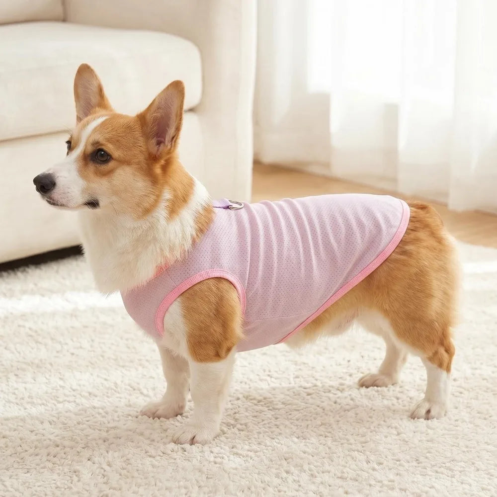 Breathable Mesh Cooling Vest with D-Ring for Small Dogs