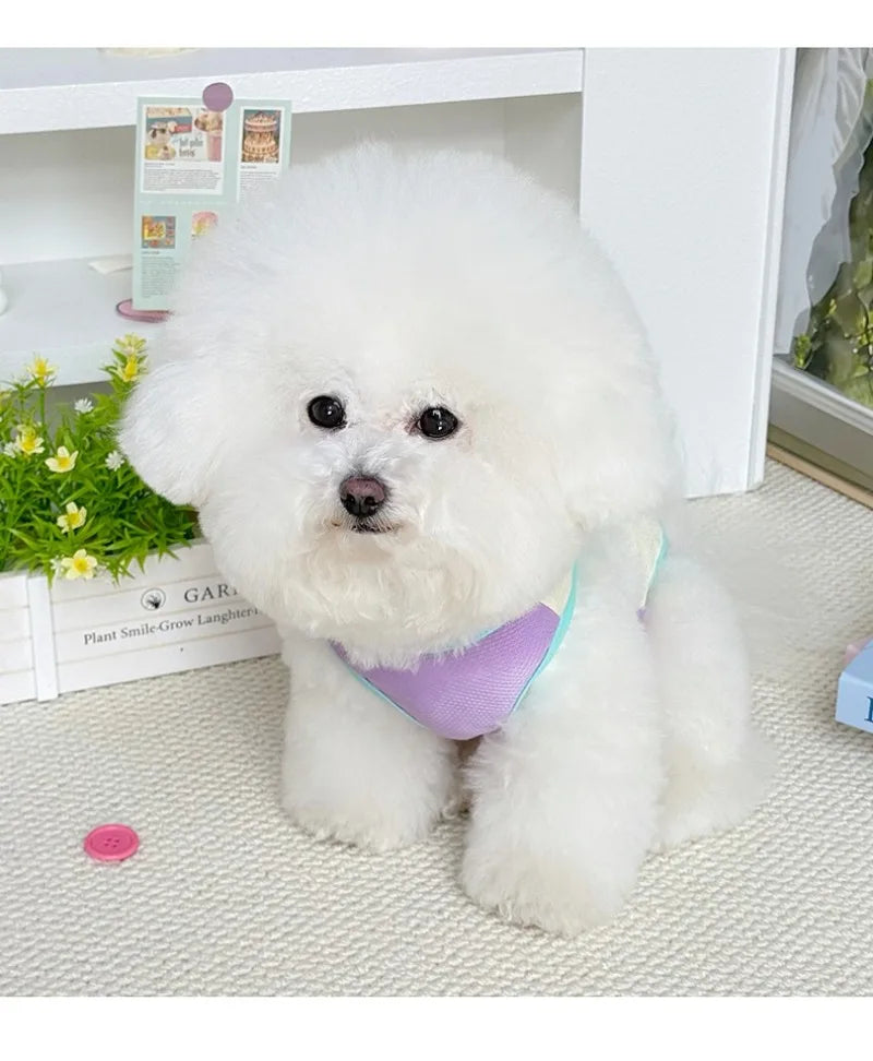 Gilet rafraîchissant réfléchissant et t-shirt d'été pour chiens et chats de petite, moyenne et grande taille