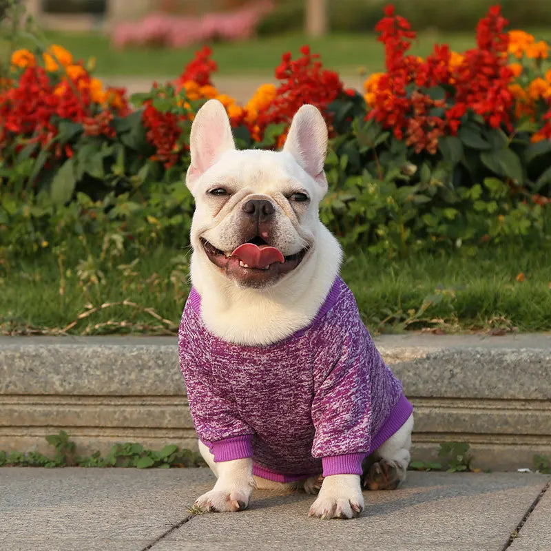 Winter Pet Jacket - Warm Coat for Dogs and Cats