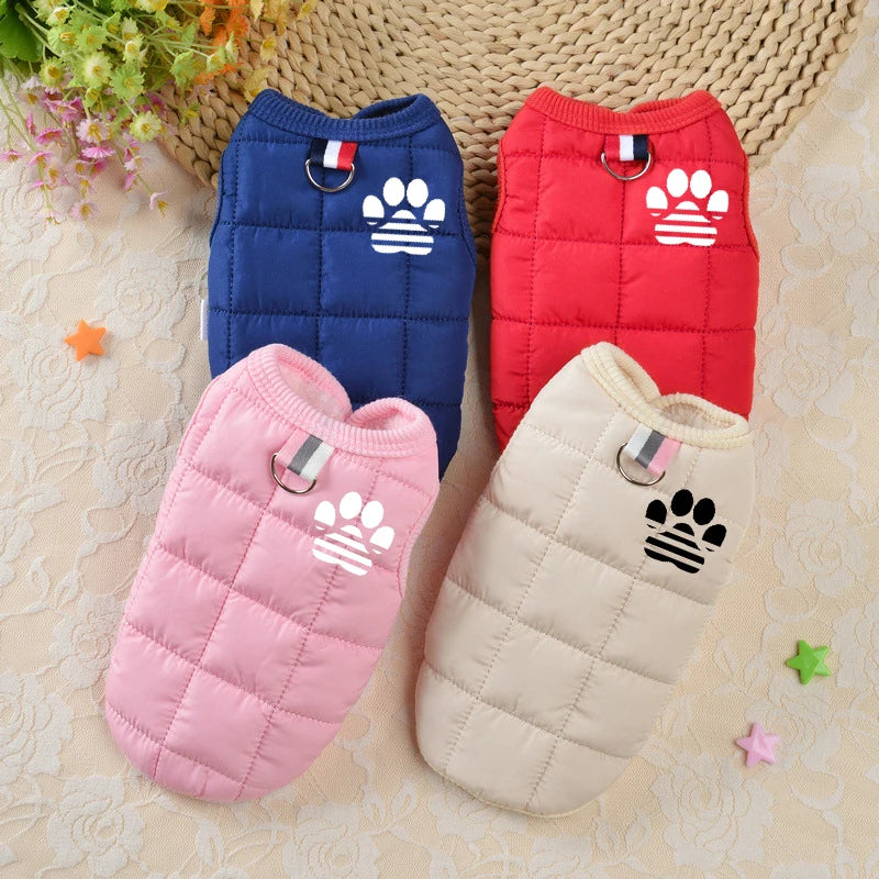 Windproof Padded Dog Coat for Small Dogs