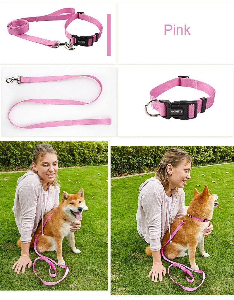 Ensemble laisse et collier réglables en nylon pour chiens - Pour petits et grands chiens
