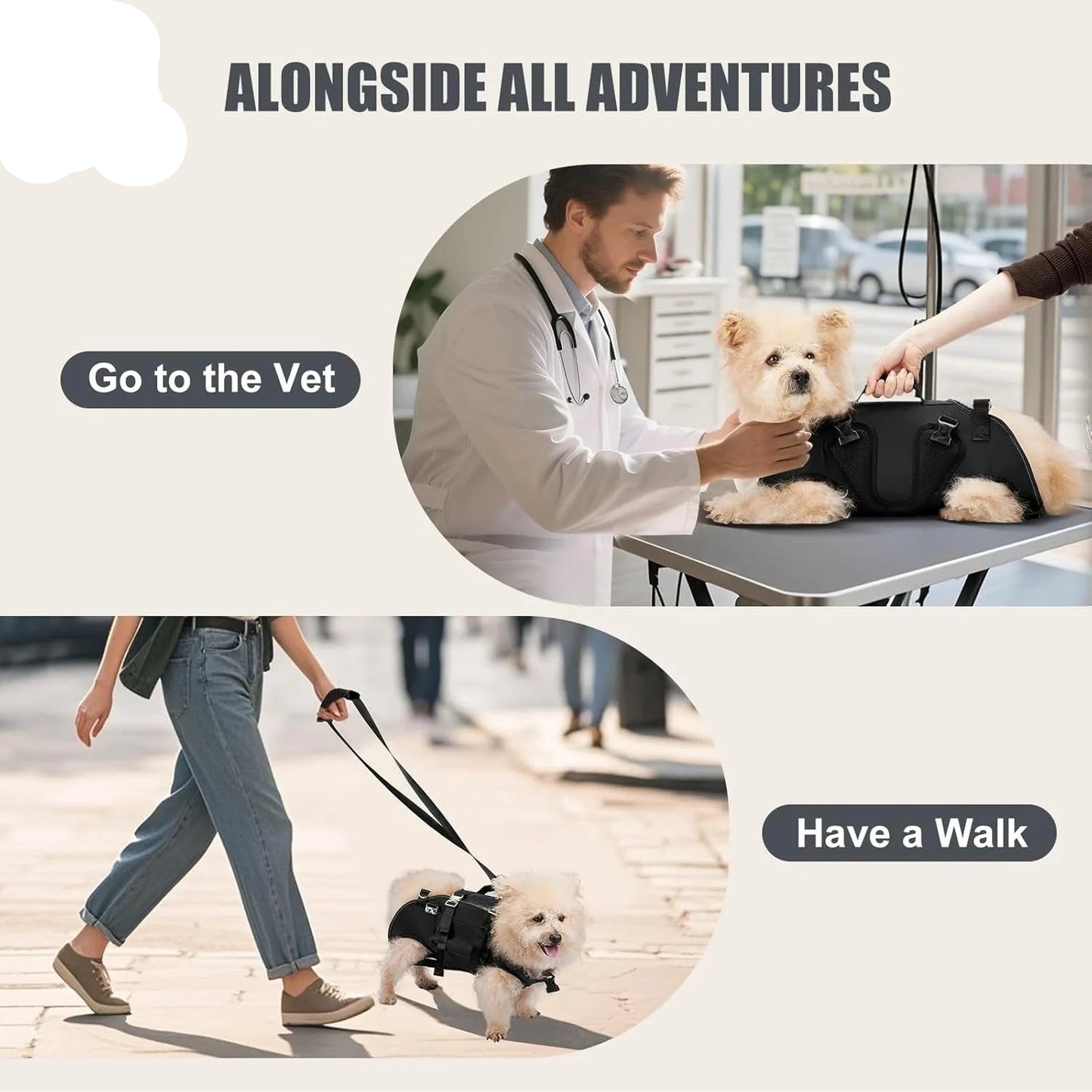 5-in-1 Dog Lift Harness & Sling Carrier with Spine Support