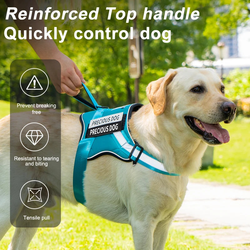 Harnais réfléchissant respirant sans traction pour chien