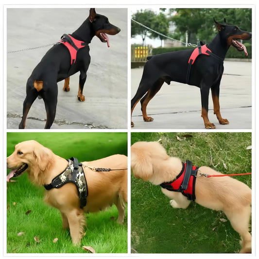 No-Pull Dog Harness - Reflective Waterproof Vest for All Sizes
