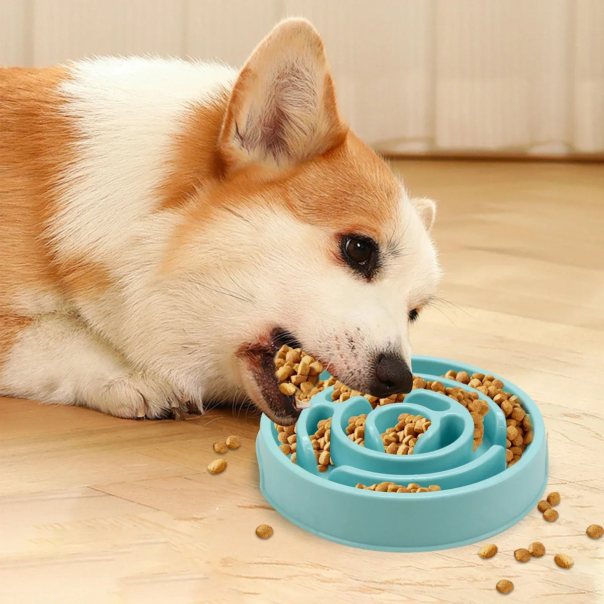 Dog Slow Feeder Bowl with Anti-Slip Pads