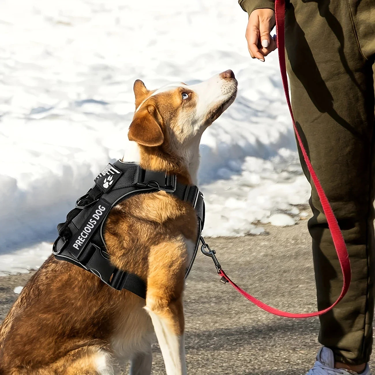 Harnais tactique anti-traction pour chien avec bandes réfléchissantes de nuit
