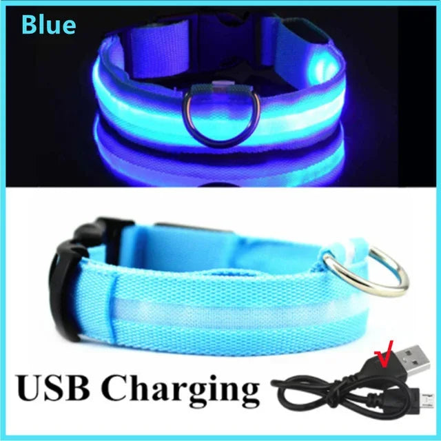 Collier lumineux LED pour chien - Réglable, clignotant, rechargeable - Collier lumineux pour la sécurité nocturne - Harnais lumineux anti-perte pour chien