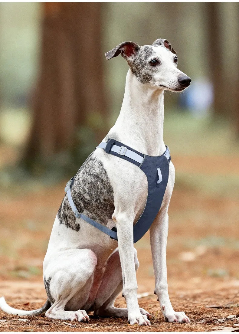 Lightweight No-Pull Reflective Dog & Cat Harness Vest