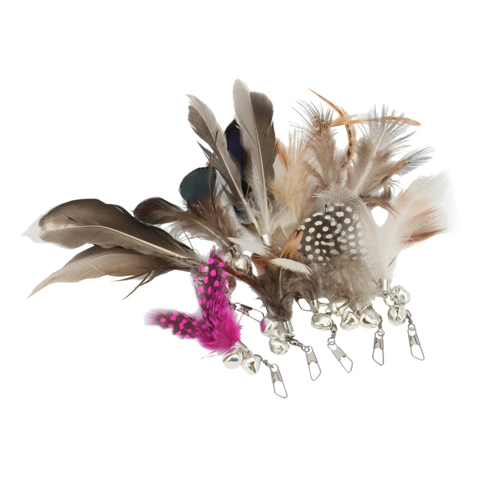 Feather Cat Teaser Toy Replacement Pack (10pcs)