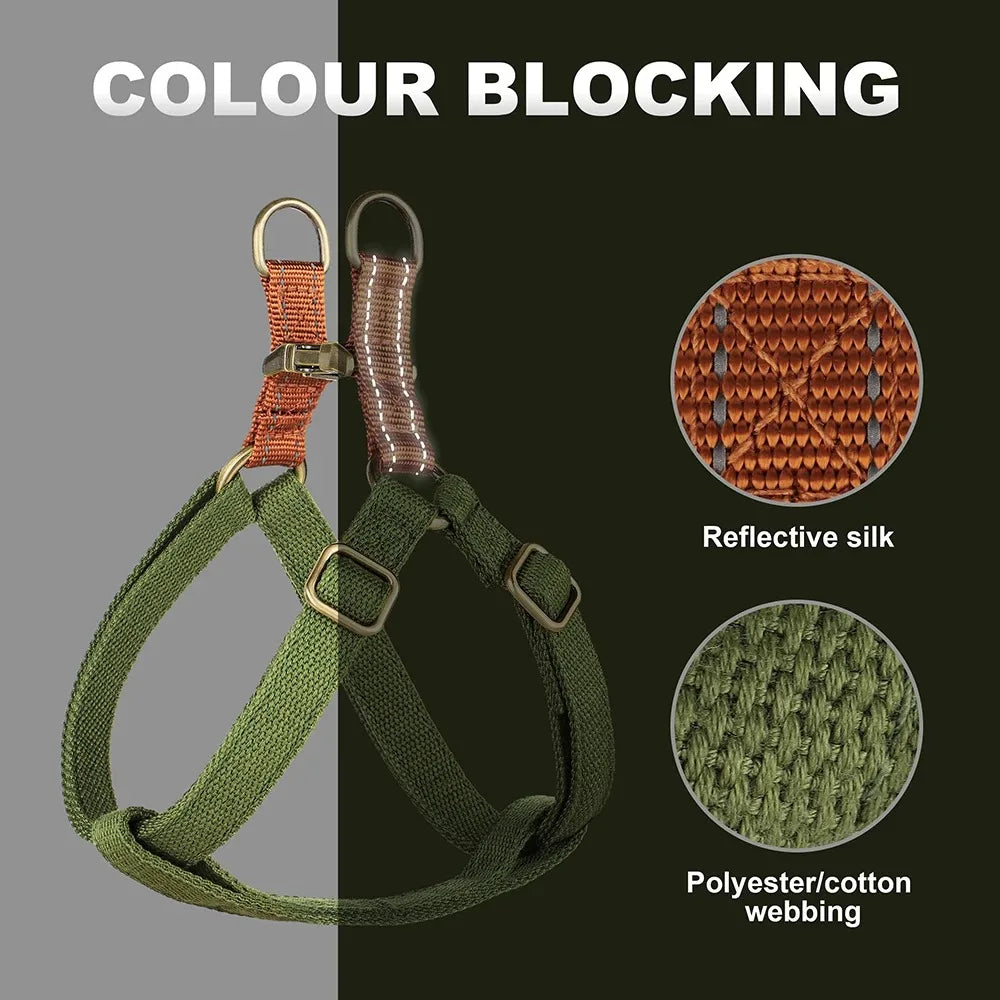 Ensemble harnais de dressage et collier personnalisé pour chien