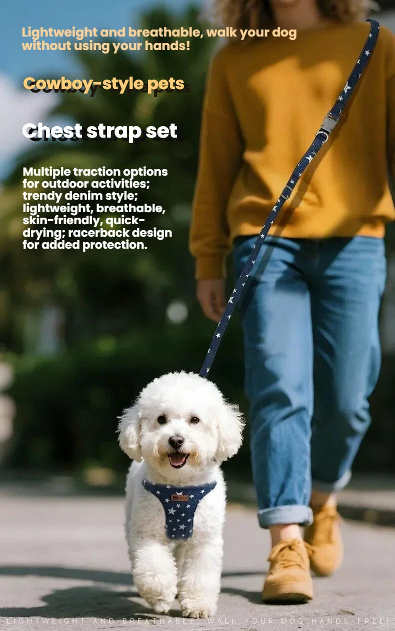 Harnais anti-évasion en jean maillé avec laisse pour chien et chat | Gilet rembourré réglable pour petits chiens et chiots