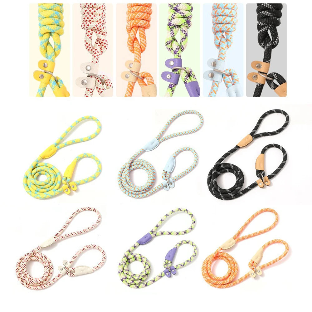 Ensemble laisse et harnais réglables en nylon pour chien