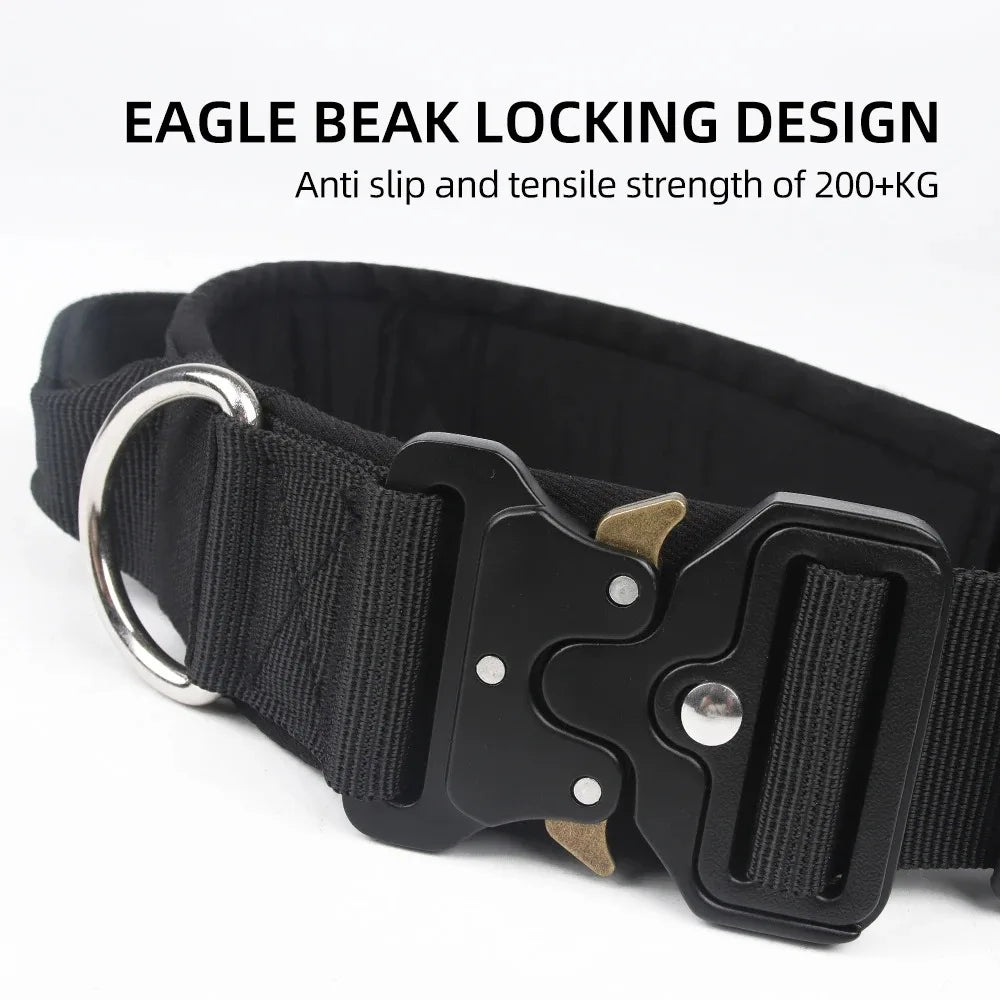 Ensemble complet collier et harnais pour chien avec laisse