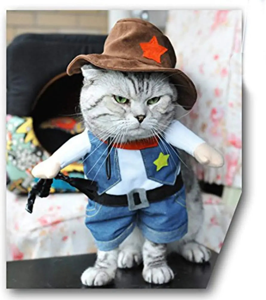 Costume de cowboy occidental pour animal de compagnie
