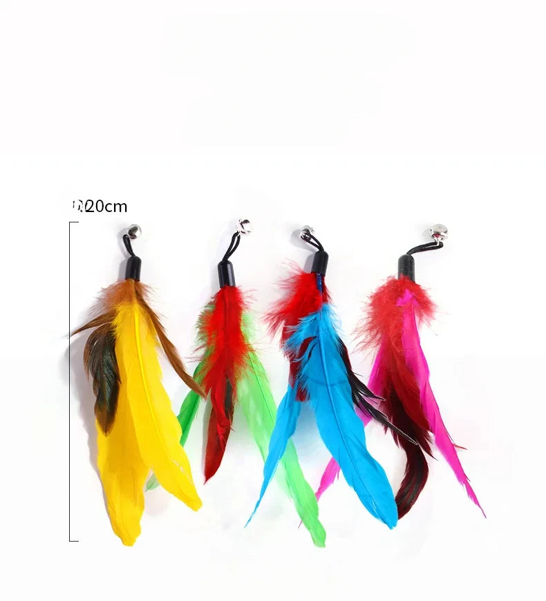 Ensemble de jouets rétractables pour chat