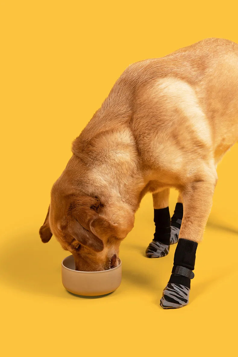 Anti-Slip Knitted Dog Socks with Paw Grip – Pack of 4