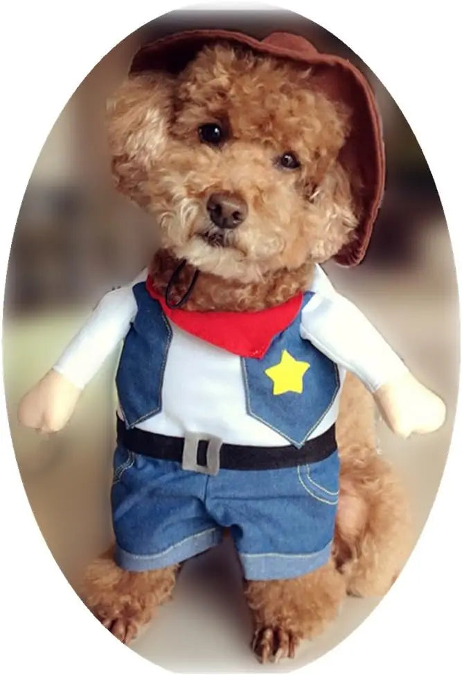 Costume de cowboy occidental pour animal de compagnie