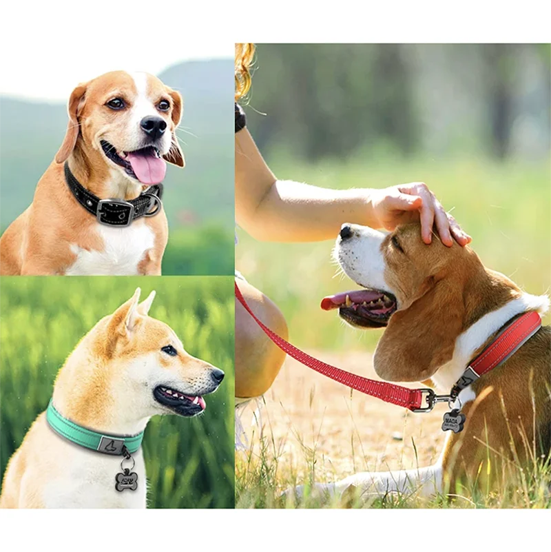 Padded Reflective Dog Collar | Adjustable Heavy-Duty Nylon & Neoprene