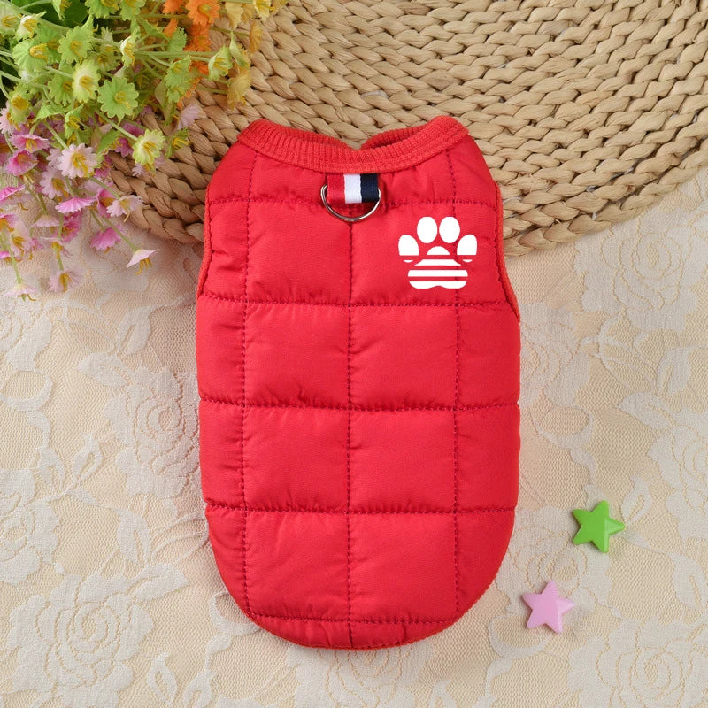 Windproof Padded Dog Coat for Small Dogs