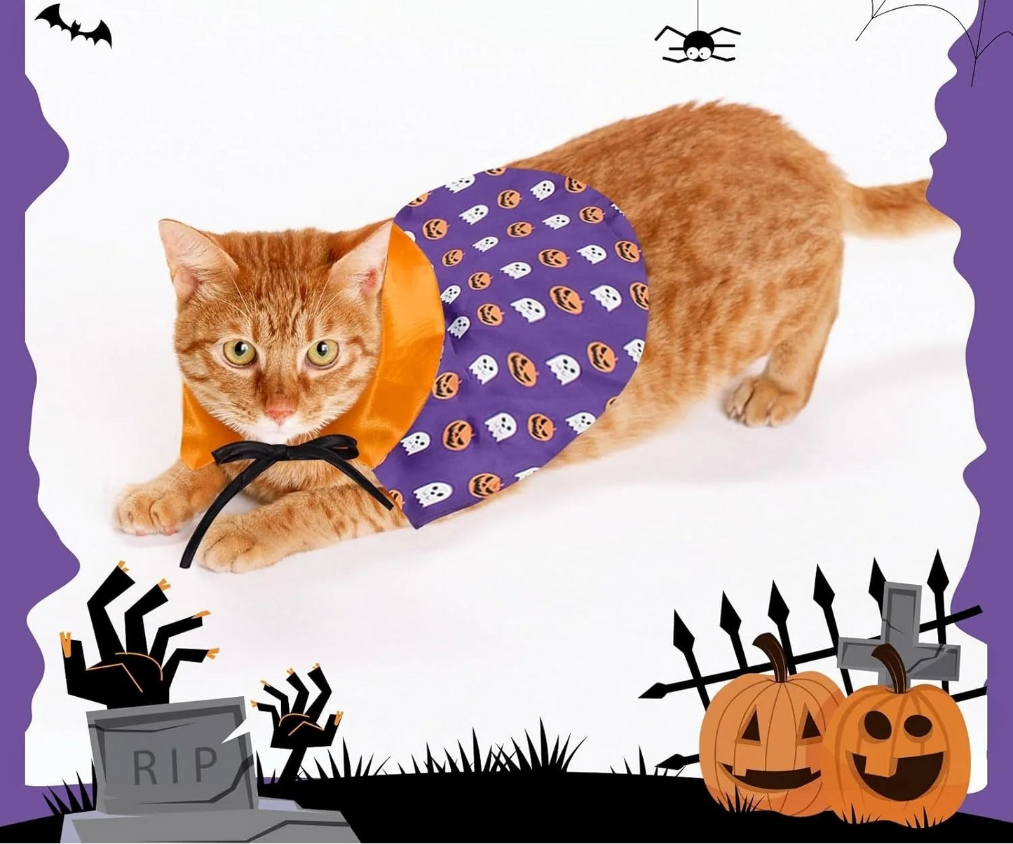 Déguisement d'Halloween pour Chat - Cape de Sorcier et Tenue de Sorcière pour Chats et Petits Chiens