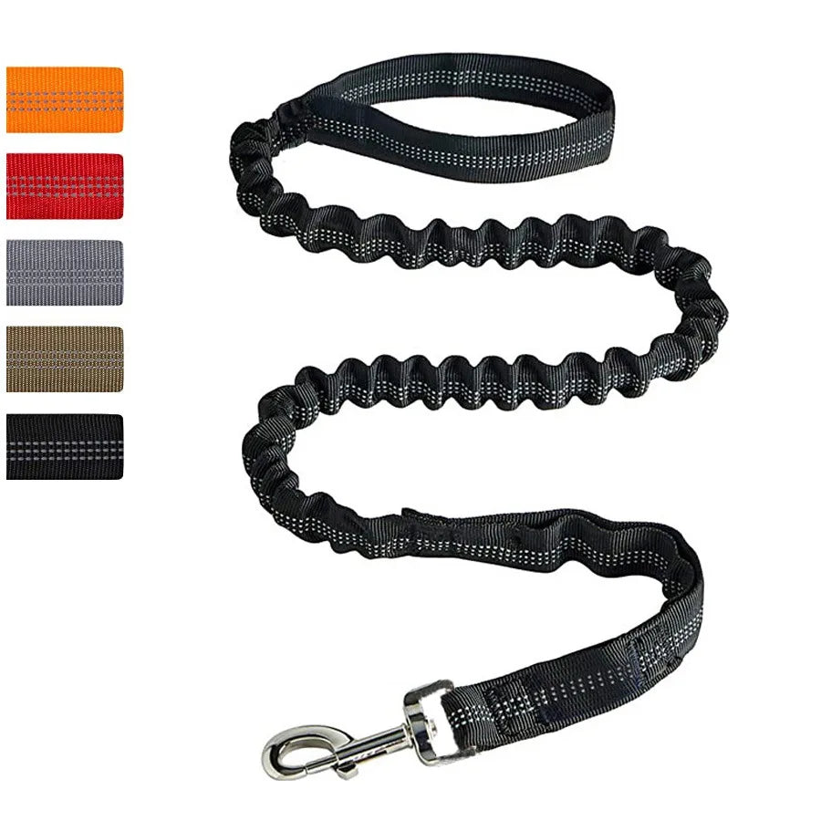 Laisse de dressage élastique antichoc pour chien