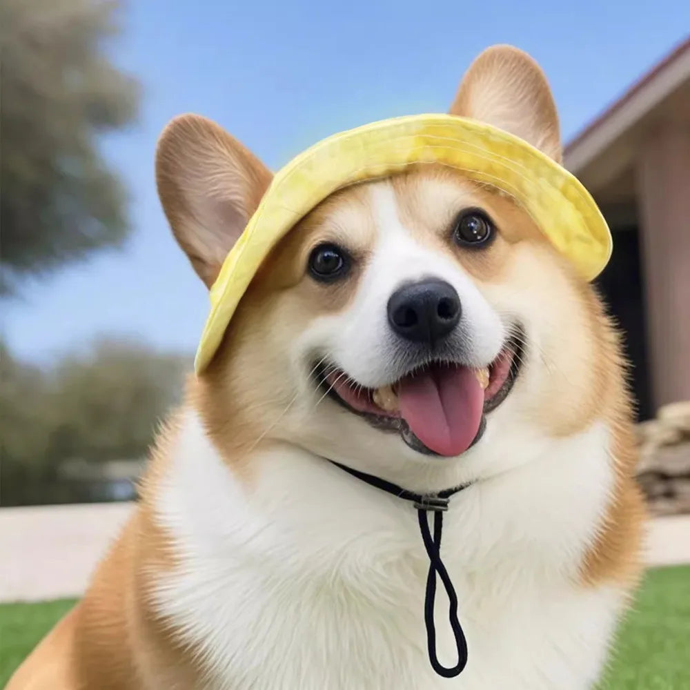 Chapeau de soleil pour animaux de compagnie avec trous pour les oreilles - Protection extérieure pour chiens et chats