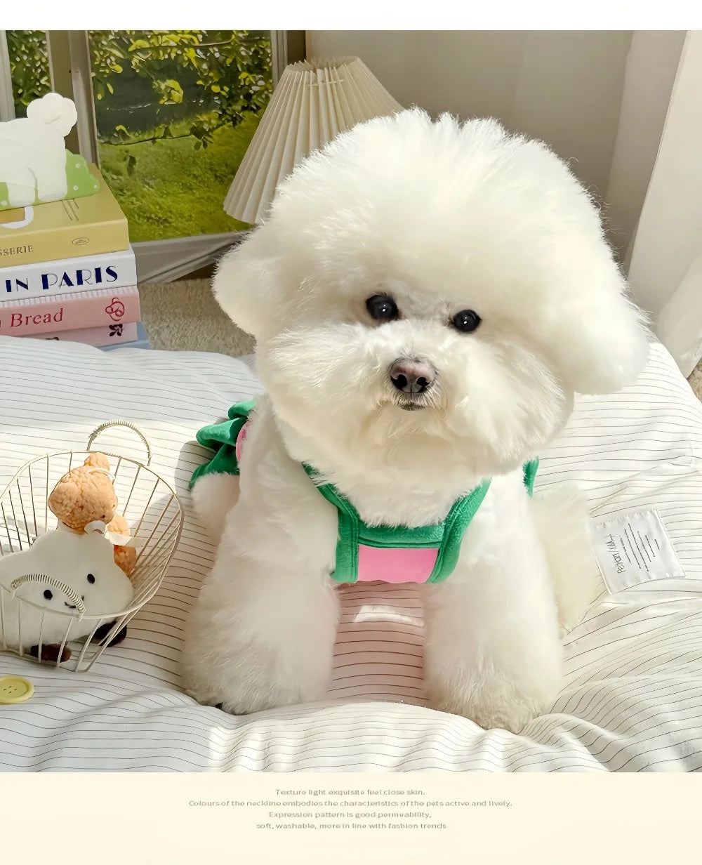 Robe et gilet rafraîchissants 2 en 1 pour petits chiens et chats | Jupe d'été respirante "Princesse" pour Chihuahuas et chiots