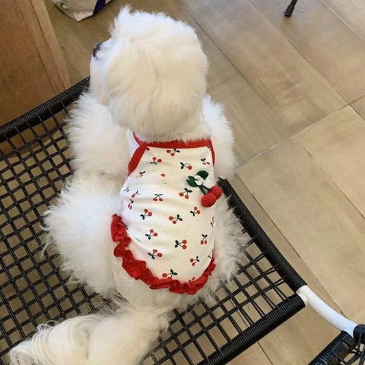 Breathable Summer Vest for Small Dogs & Cats