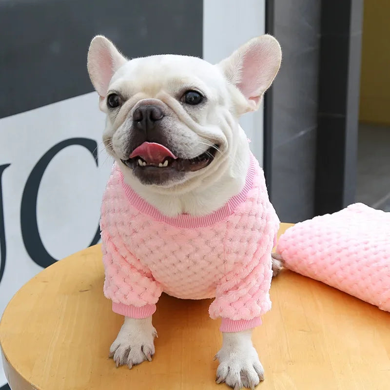 Manteau pull chaud pour chiot | Pull d'automne-hiver pour chiens et chats de petite taille