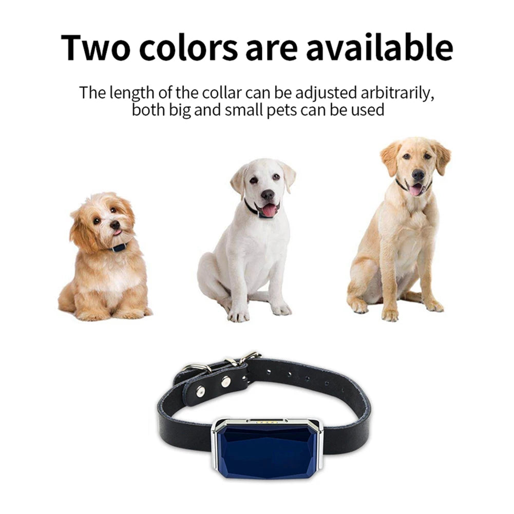 G12 IP67 GPS Tracker for Pets, Kids & Elderly — Up to 10-Day Battery