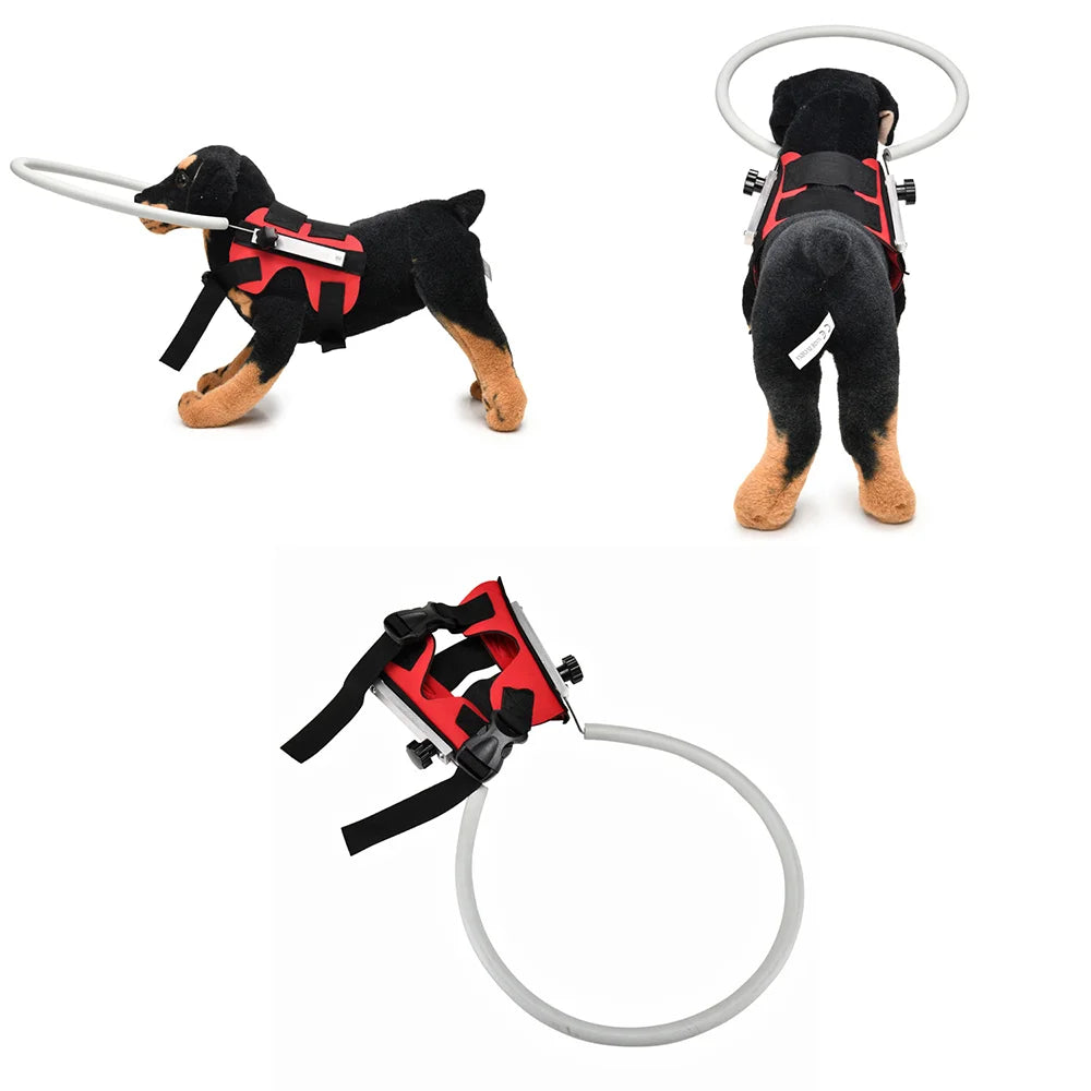 Anti-Collision Halo Collar for Blind & Visually Impaired Dogs