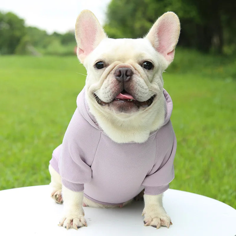 Manteau à capuche en polaire pour chien | Veste sweat chaude d'automne et d'hiver pour petits chiens et chats