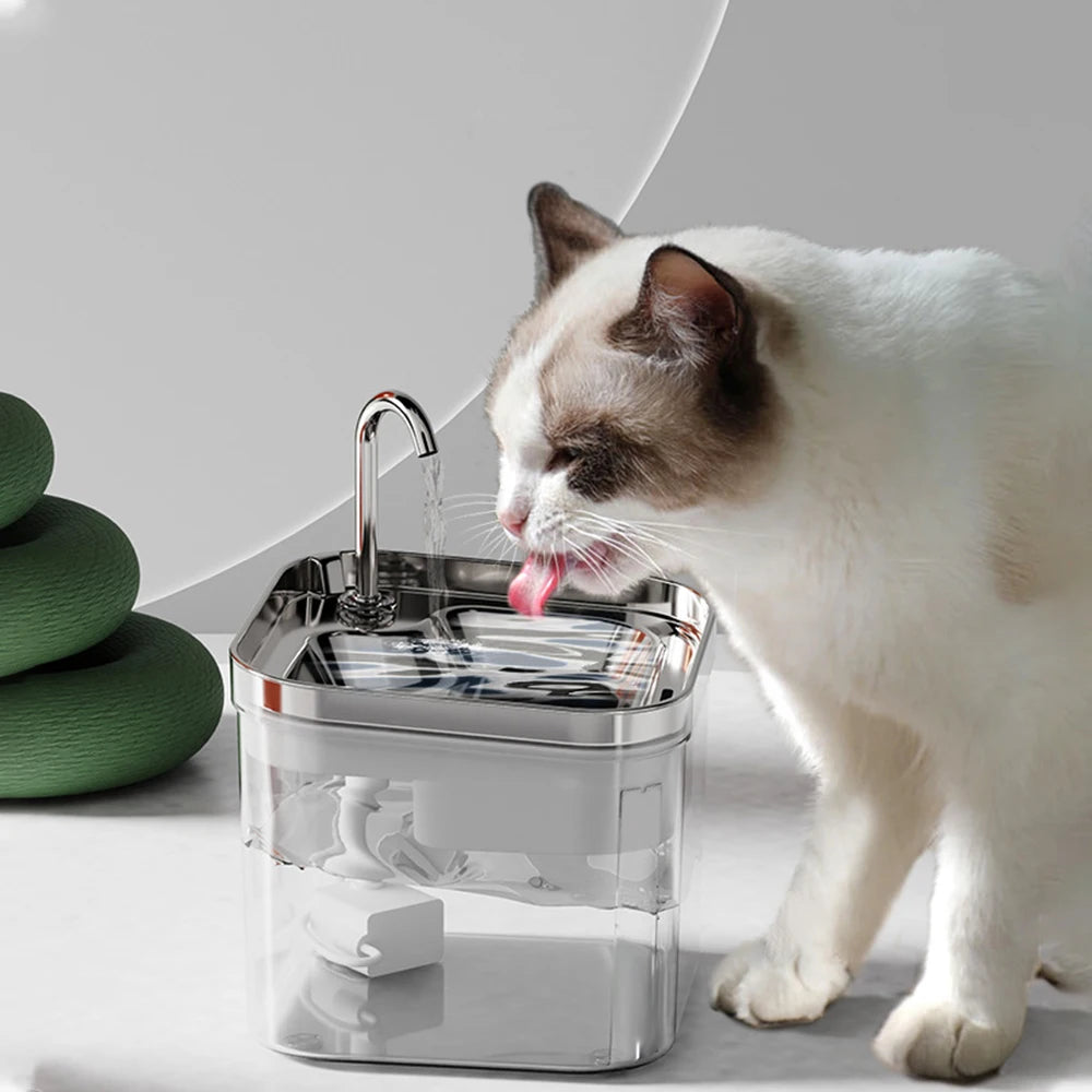 Pet Water Fountain with Stainless Steel & Clear Reservoir