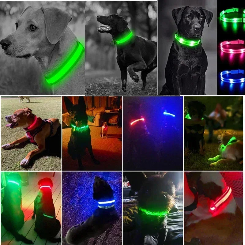 Collier lumineux LED pour chien - Réglable, clignotant, rechargeable - Collier lumineux pour la sécurité nocturne - Harnais lumineux anti-perte pour chien