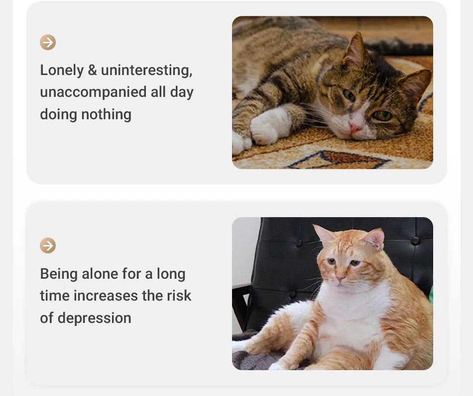 Automatic Interactive Laser Cat Toy — Adjustable Electric Indoor Teaser