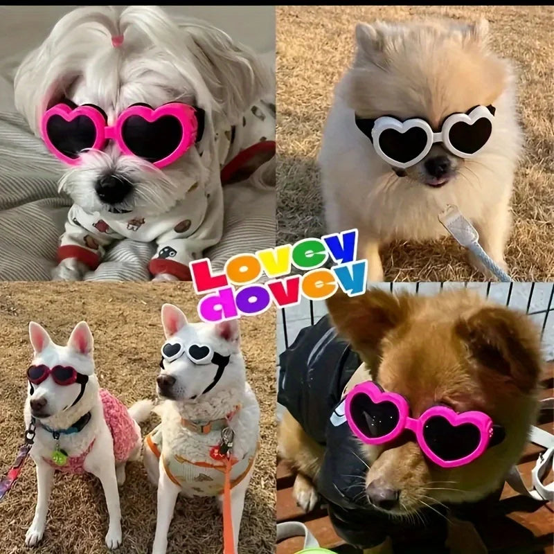 Lunettes de soleil de protection UV pour animaux de compagnie - Protection élégante des yeux pour chiens et chats