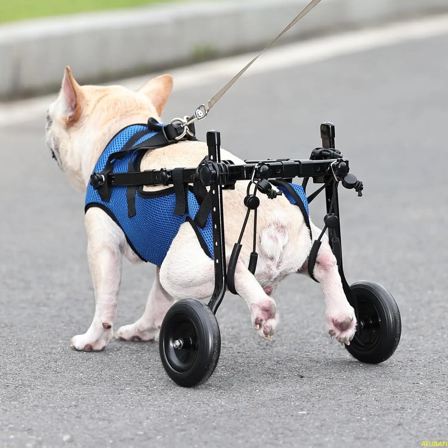 Adjustable Dog Wheelchair - Mobility Aid for Small Dogs 8-20 lbs