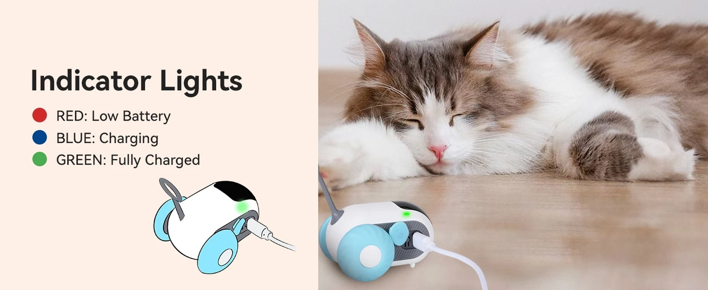 Remote Control Interactive Cat Toy