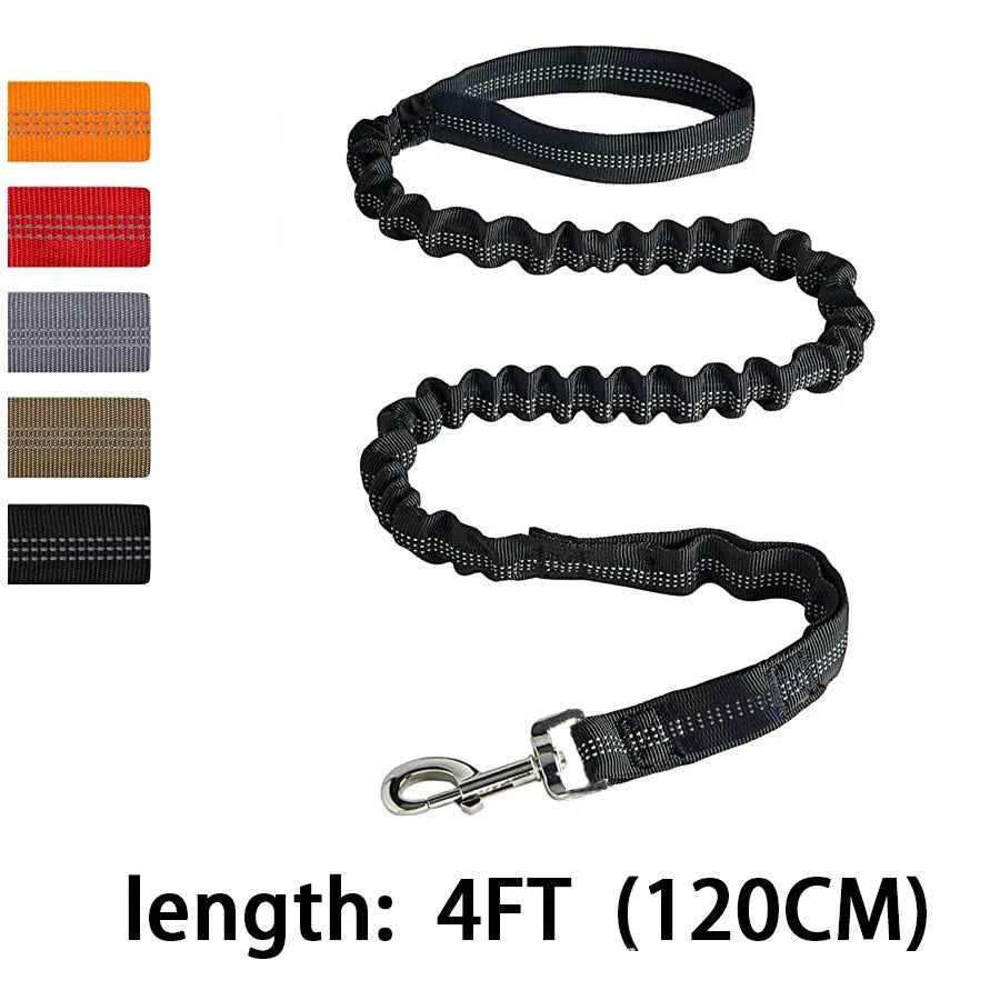 Laisse de dressage élastique antichoc pour chien