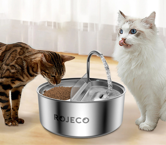 2-in-1 Automatic Pet Water Dispenser with Stainless Steel Feeder Bowl