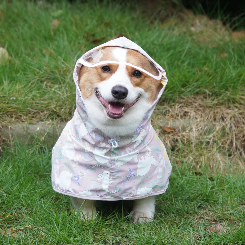 Waterproof Dog Raincoat with Fun Print