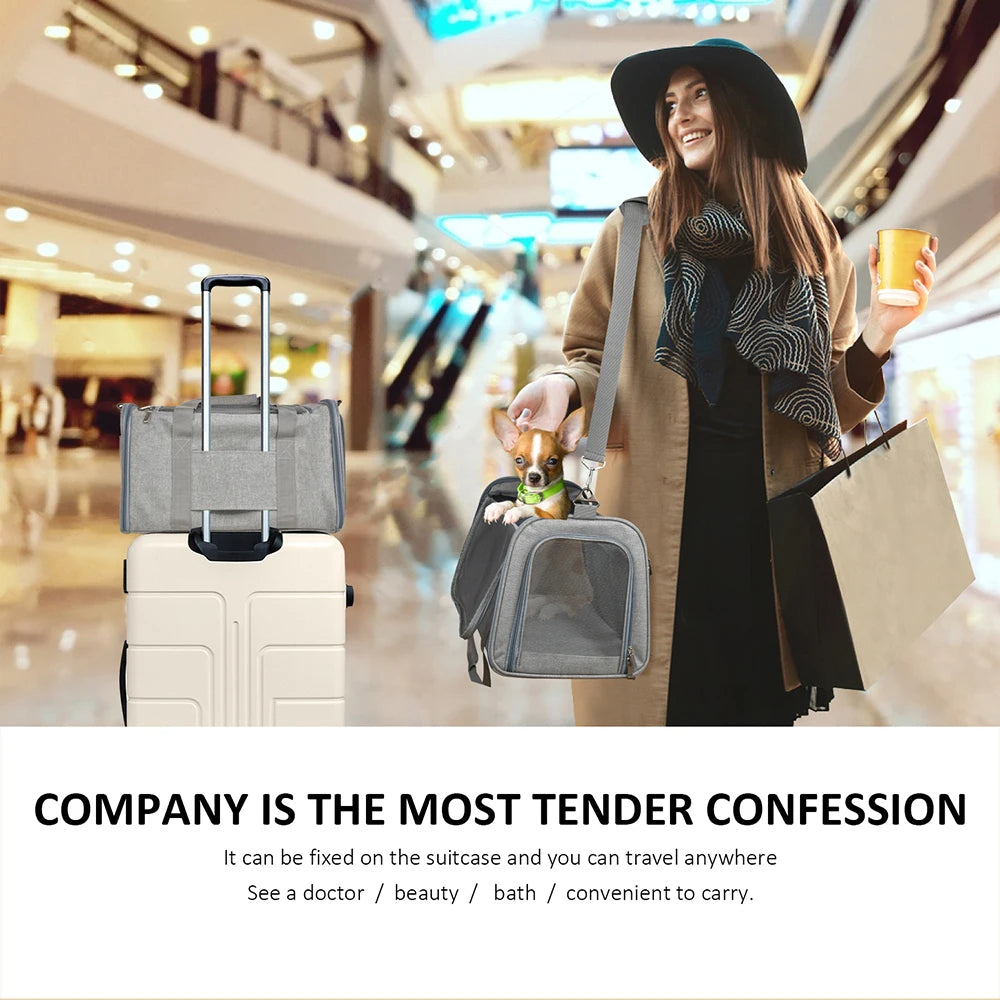 Soft-Sided Pet Travel Carrier with Fleece Pad
