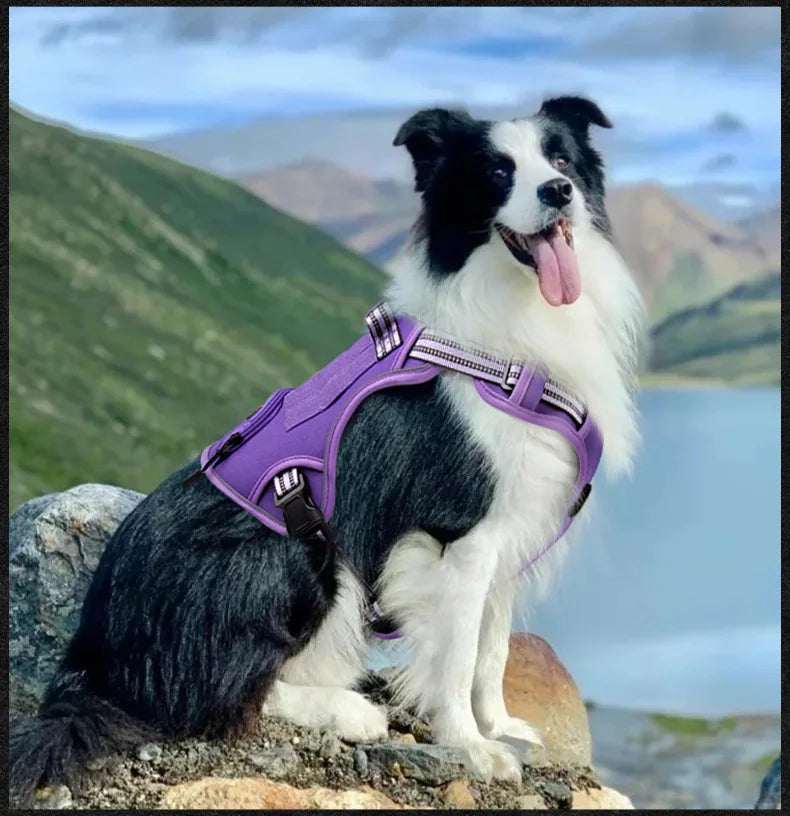 No-Pull Dog Vest Harness with Handle & Reflective Straps