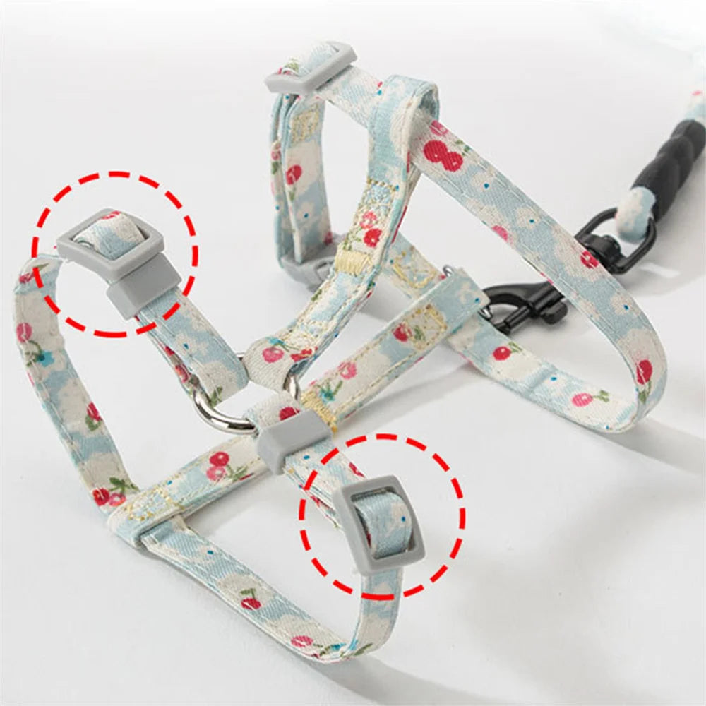 Floral Print Harness & Leash Set for Cats & Small Dogs
