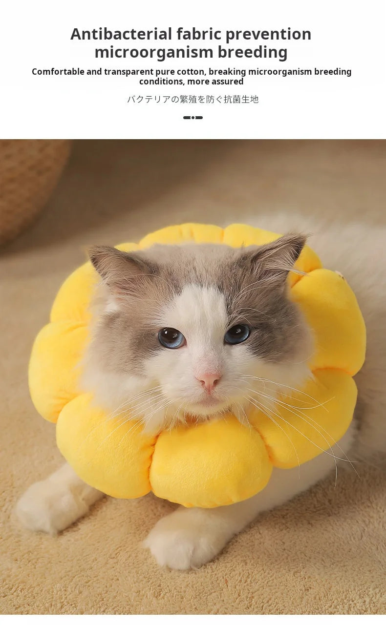 Collerette de protection tournesol – Cône élisabéthain en coton doux pour chats et chiens