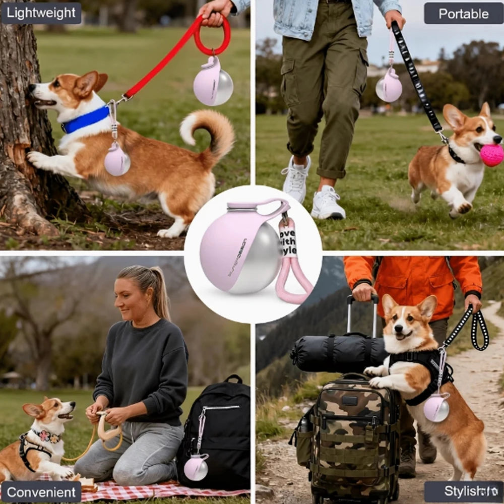 Portable Stainless Steel Travel Water Bowl for Dogs & Cats