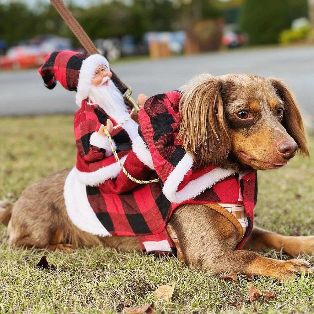 Christmas Santa Cloak Pet Costume